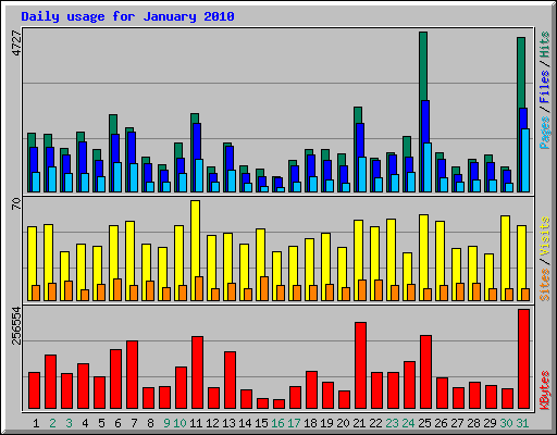 Daily usage for January 2010
