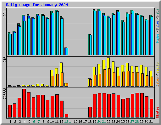 Daily usage for January 2024