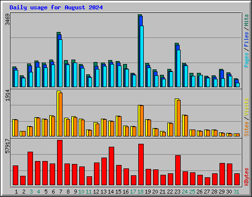 Daily usage for August 2024