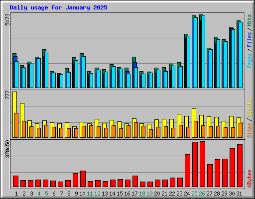 Daily usage for January 2025