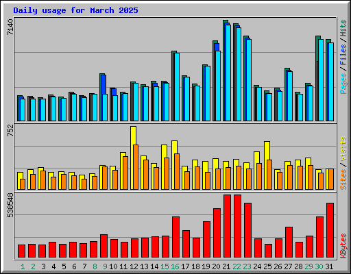 Daily usage for March 2025