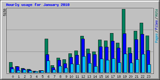 Hourly usage for January 2010
