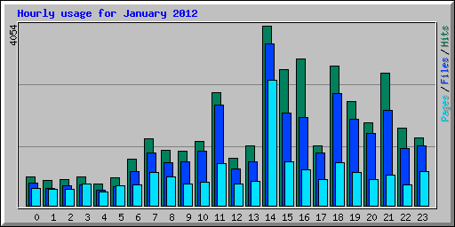 Hourly usage for January 2012