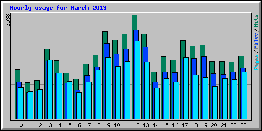 Hourly usage for March 2013