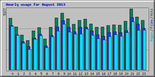Hourly usage for August 2013