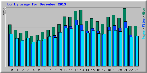 Hourly usage for December 2013