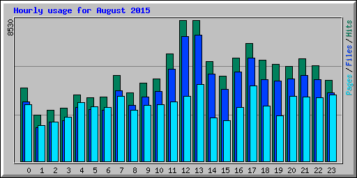 Hourly usage for August 2015