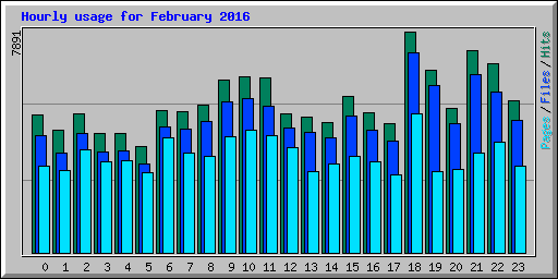Hourly usage for February 2016