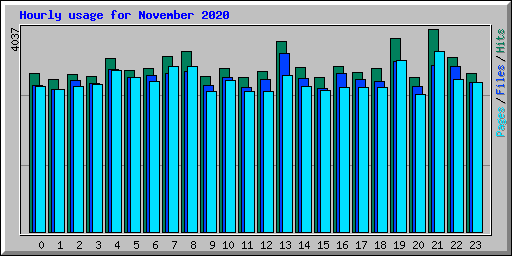 Hourly usage for November 2020