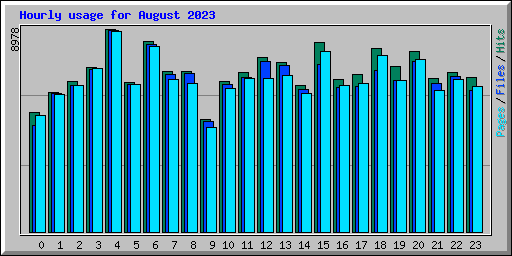 Hourly usage for August 2023