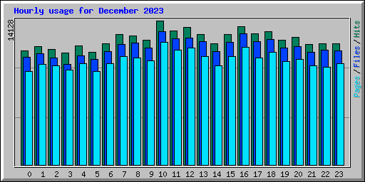 Hourly usage for December 2023