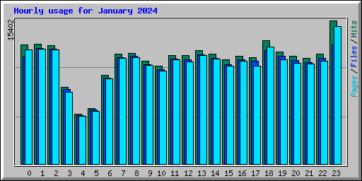 Hourly usage for January 2024