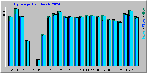 Hourly usage for March 2024