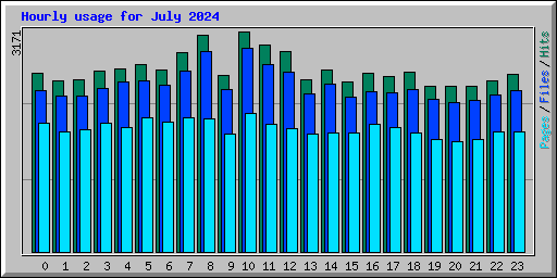Hourly usage for July 2024