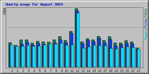 Hourly usage for August 2024