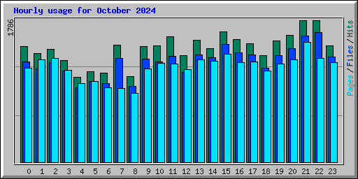 Hourly usage for October 2024