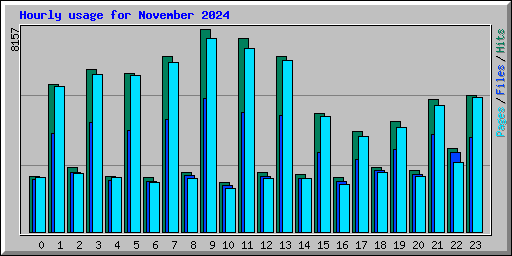 Hourly usage for November 2024