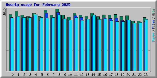 Hourly usage for February 2025