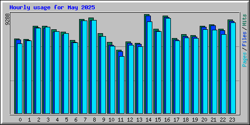 Hourly usage for May 2025