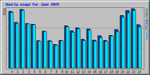 Hourly usage for June 2025