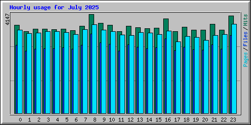 Hourly usage for July 2025