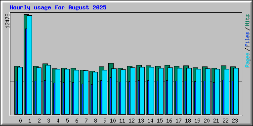 Hourly usage for August 2025