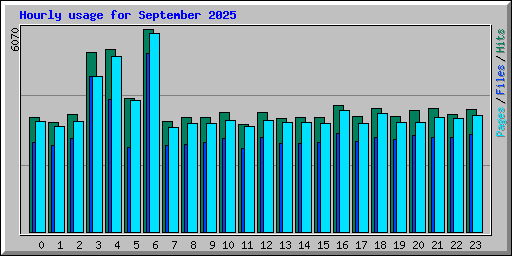 Hourly usage for September 2025
