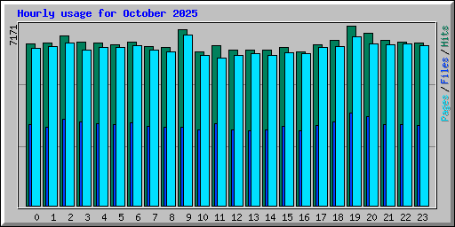 Hourly usage for October 2025