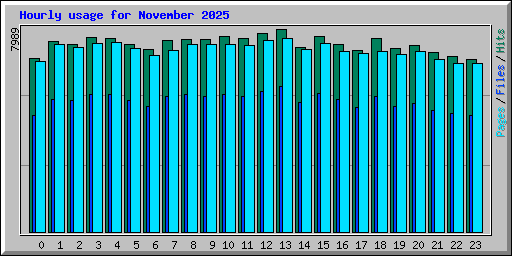 Hourly usage for November 2025