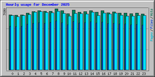 Hourly usage for December 2025