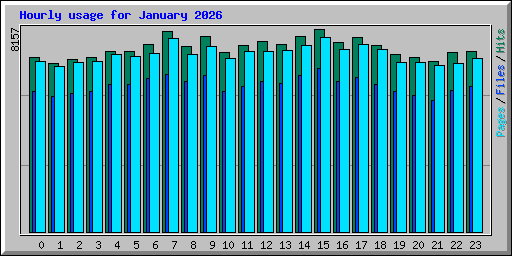 Hourly usage for January 2026
