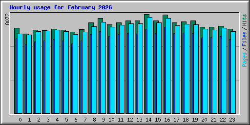 Hourly usage for February 2026
