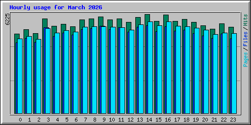Hourly usage for March 2026