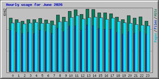 Hourly usage for June 2026