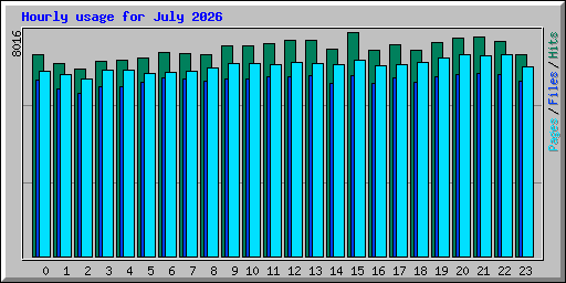 Hourly usage for July 2026