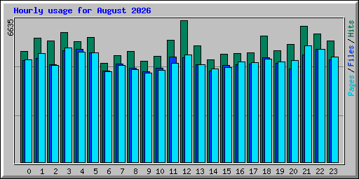 Hourly usage for August 2026